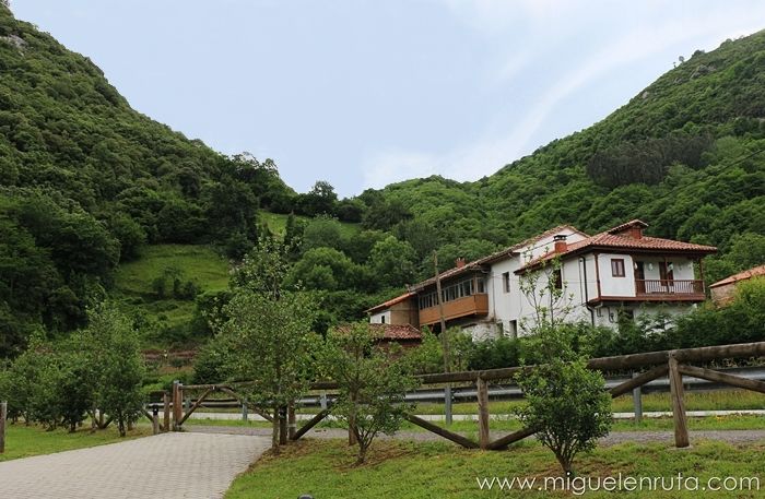 Senda-del-Oso-Asturias-Turismo-2