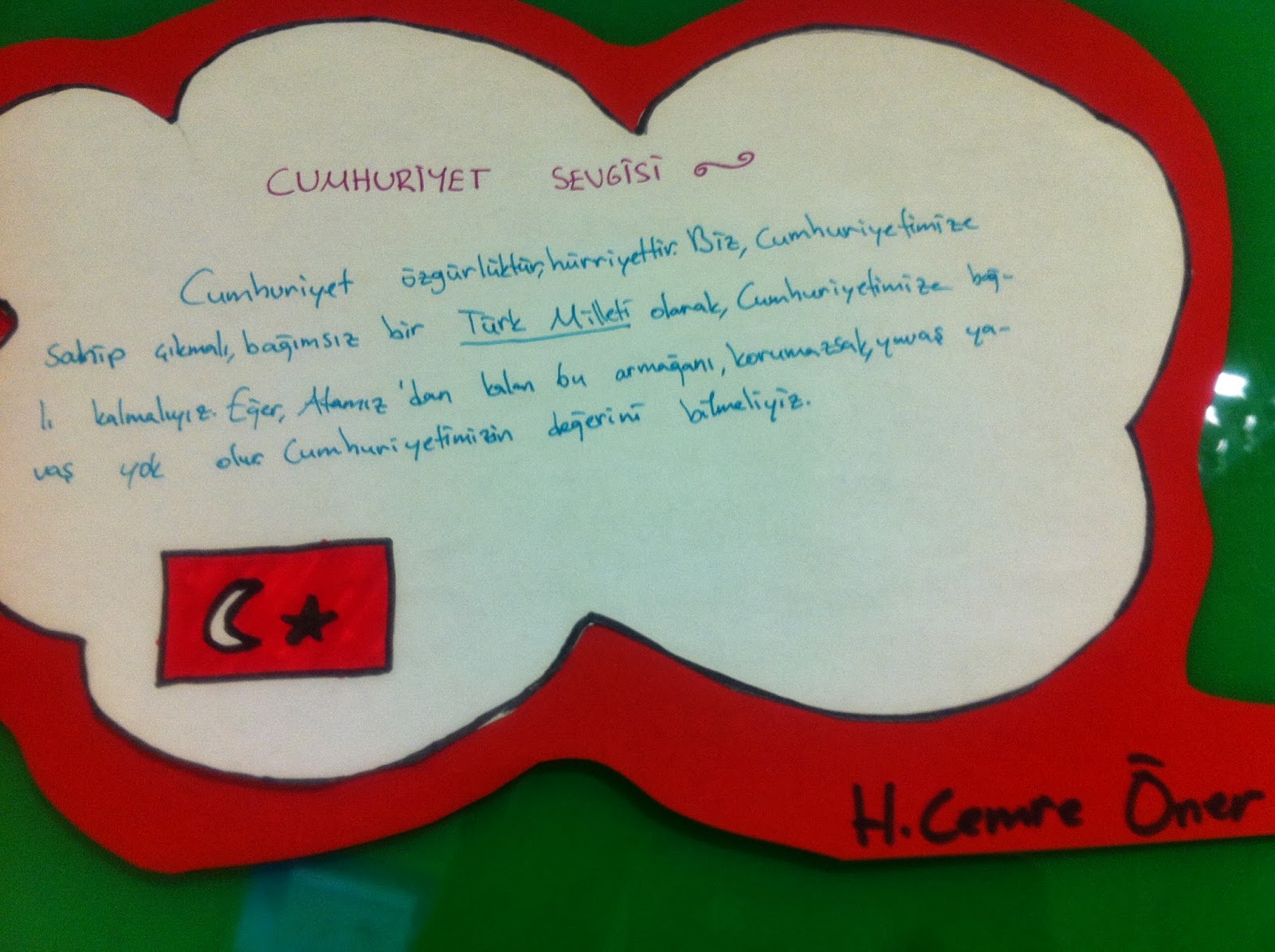 BELDE TÜRKÇE: 2014