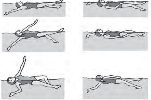 Update Gerakan Kaki Renang Gaya Bebas Adalah Brainly Terbaru