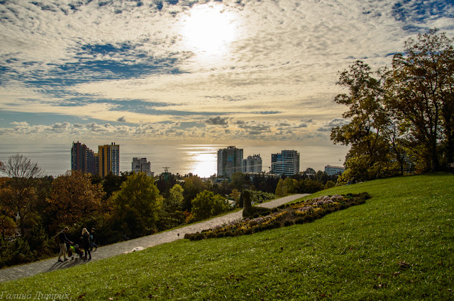 парк Дендрарий в Сочи Путешествия: парк Дендрарий в Сочи