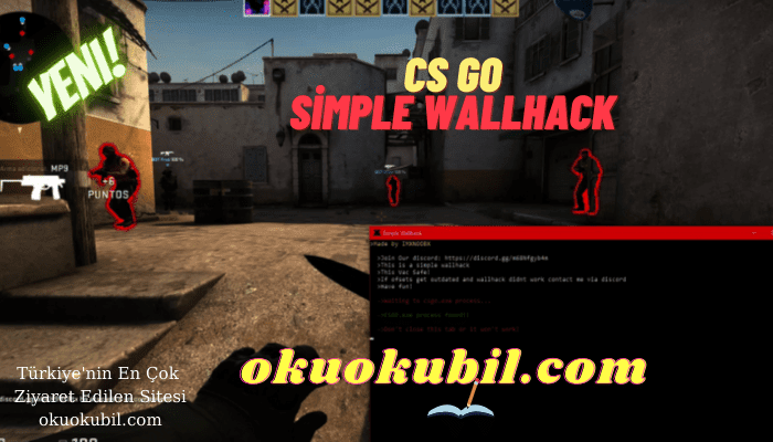 CSGO Simple WallHack v3 ESP Hilesi İndir Şubat 2021