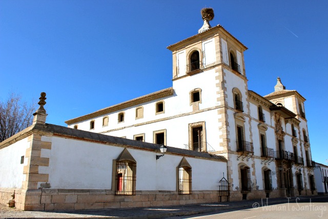 foto palacio de las torres