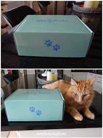 What's In The Box ©BionicBasil® Gus & Bella Santa Paws Box