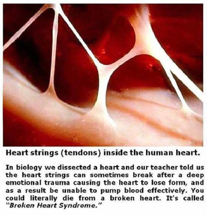 What is Broken Heart Syndrome (BHS) (Part 1)