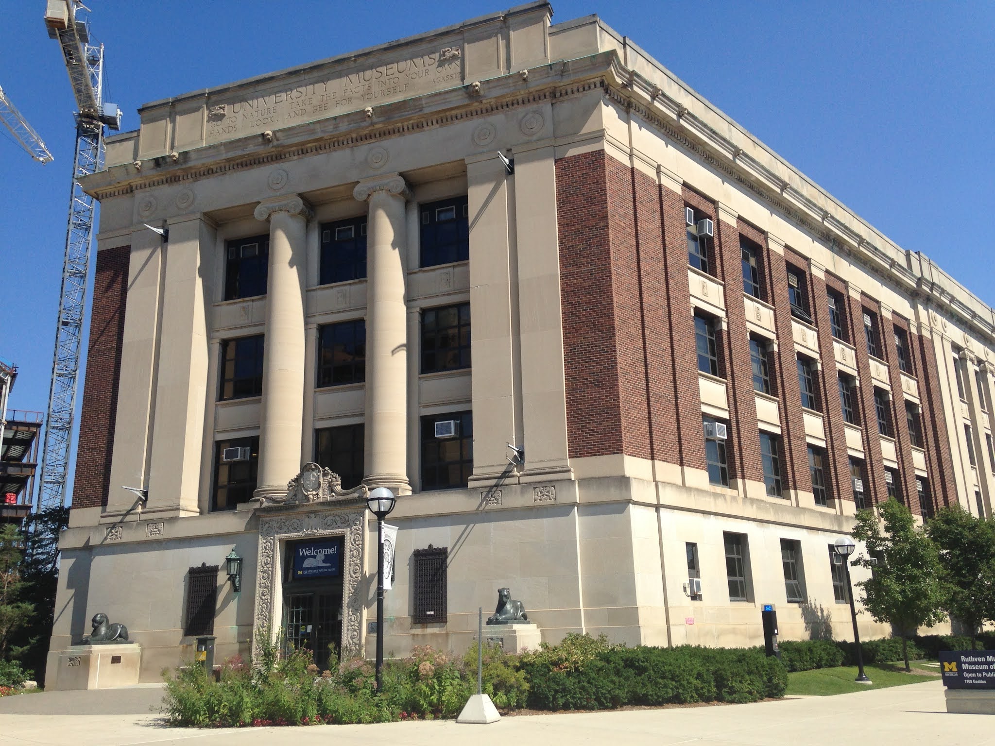 Dilophosaurus Bard Art History, Part 1 Speculative Radiodonts