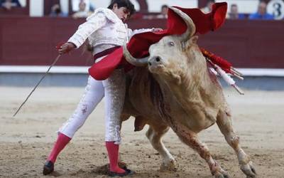 Cabildo poblano a punto de cometer una arbitrariedad; quieren prohibir las corridas de toros.