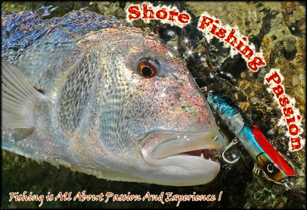 Shore Fishing Passion