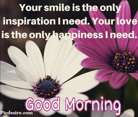 50 Beautiful Good Morning Quotes and Saying
