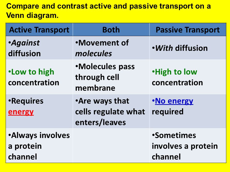 Passive Transport Vs Active Transport Venn Diagram - Collage Template