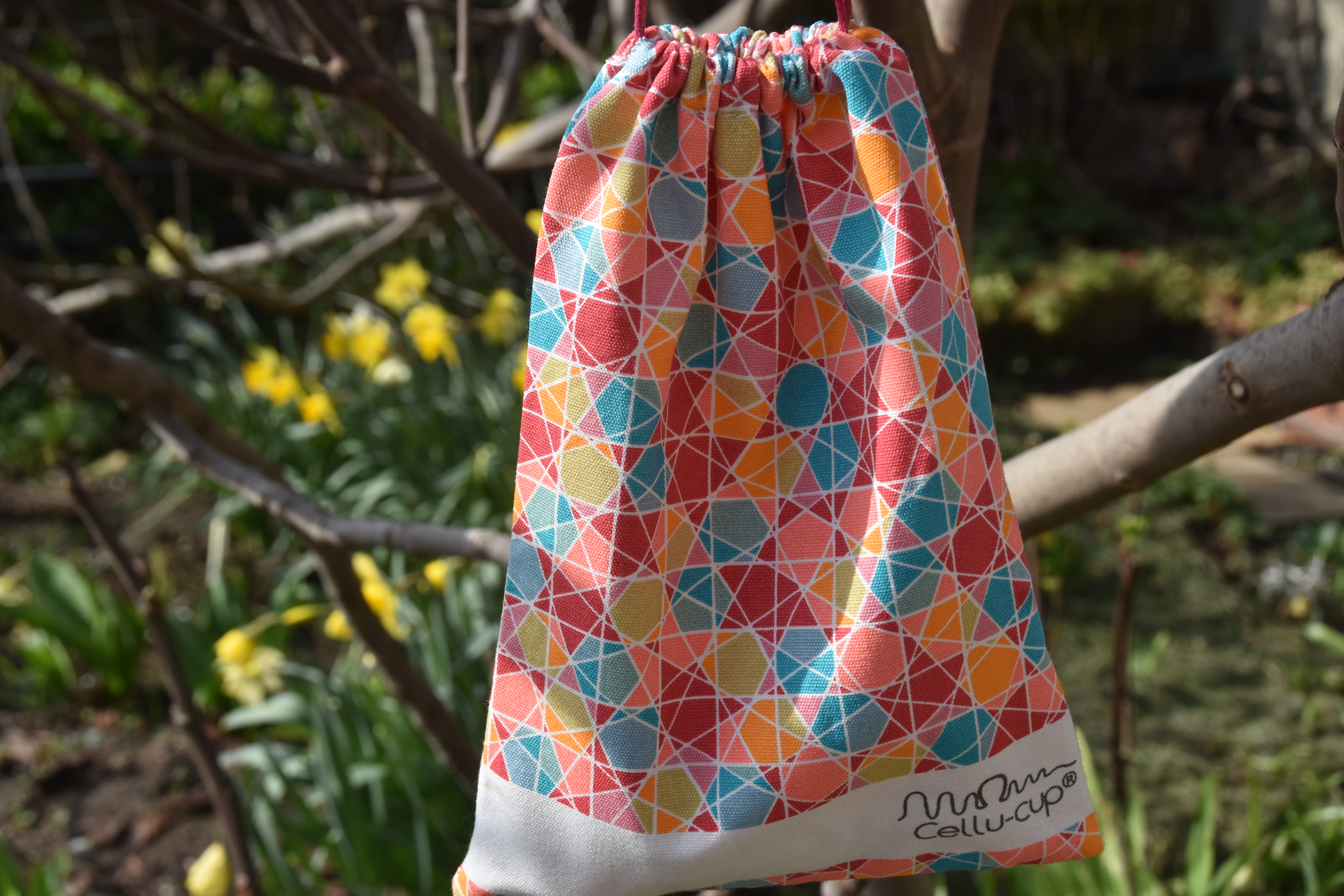 L’attribut alt de cette image est vide, son nom de fichier est DSC_0011.JPG.