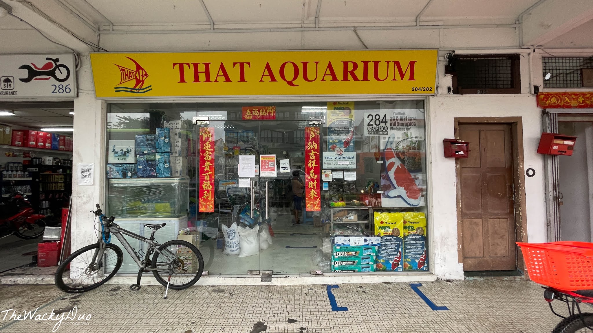 That Aquarium Changi Road Review Your One Stop Neighbourhood Aquarium
