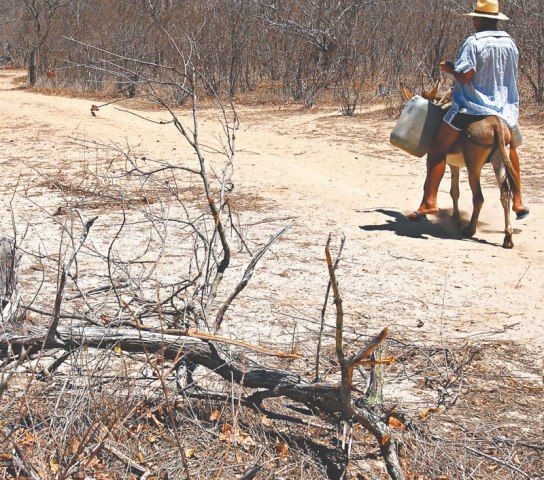 Governador assina decreta estado de emergência em Milagres e mais 43 municípios 