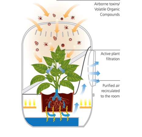 Penting Le Mari Hiasan Pembatas Ruangan Kerja