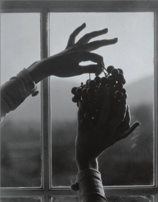 O’Keeffe’s Hands by Alfred Stieglitz Vintage Everyday