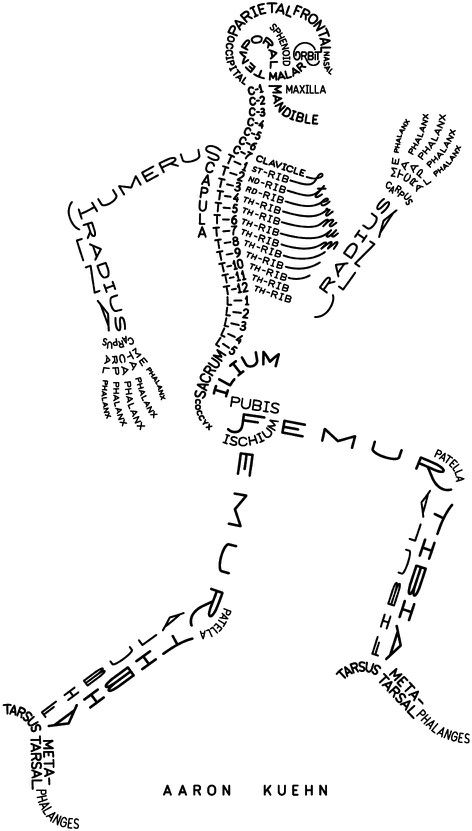 English is everywhere: Unit 2 Extension: The human skeleton