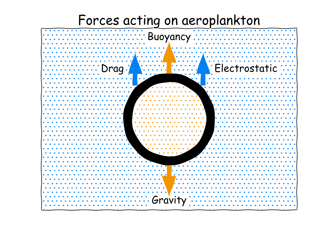 Forces acting on aeroplankton