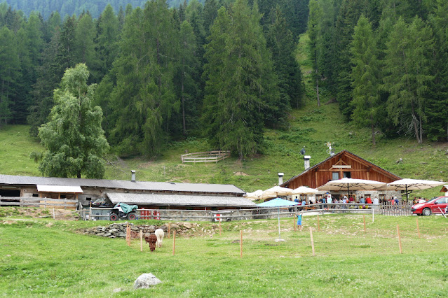 escursione ponte tibetano val di rabbi cascate di saent