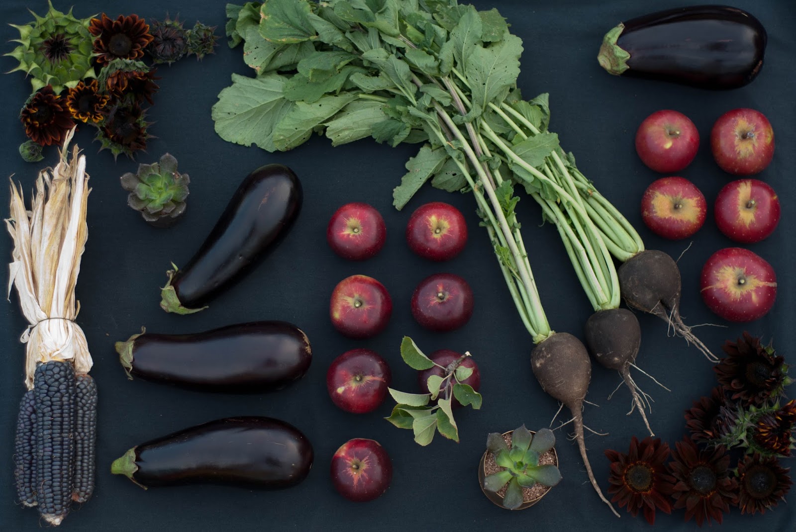 Robson's Farm "Black" Vegetable Photo Shoot