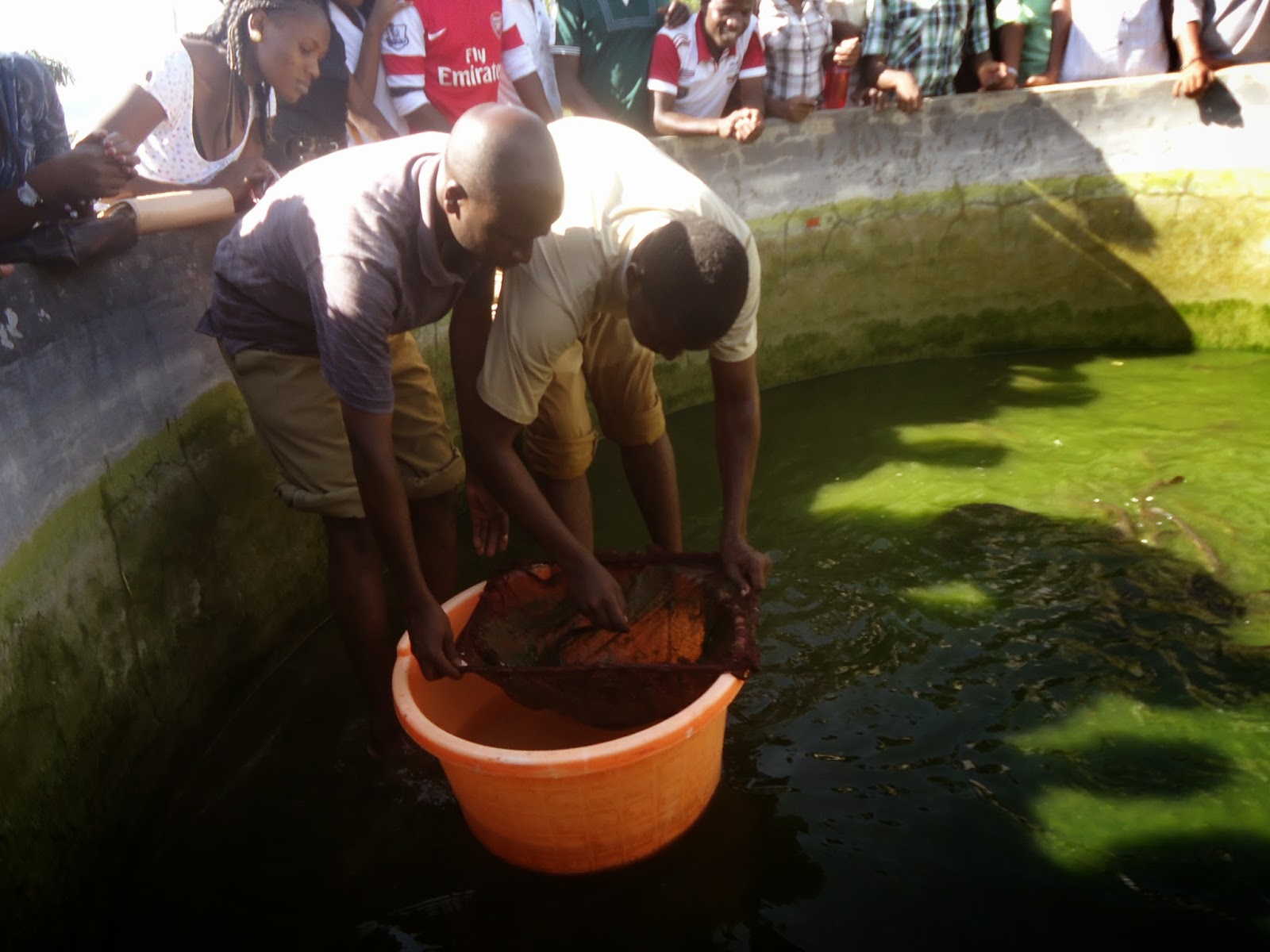 TRACING CHALLENGES AND OPPORTUNITIES UNDERSTANDING ARTIFICIAL