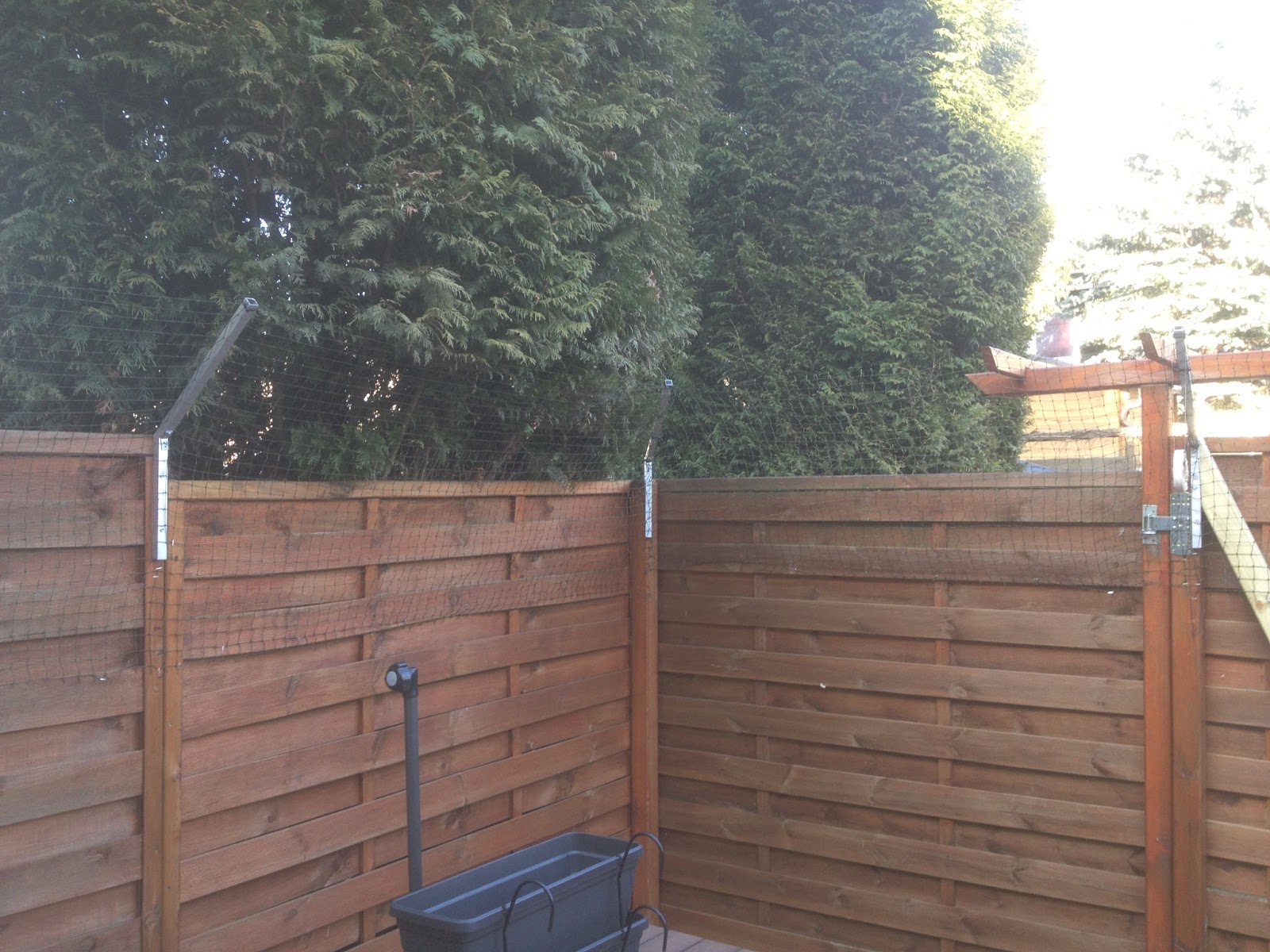 Katzennetz Nrw Die Adresse Fur Ein Katzennetz Katzennetz Im