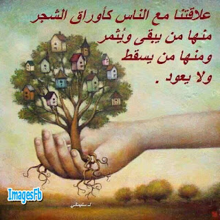 PIC-634-1457256714