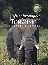 Guía de Safaris Fotográficos África.