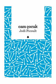 Cam Çocuk - Jodi Picoult - Kitap Yorumu