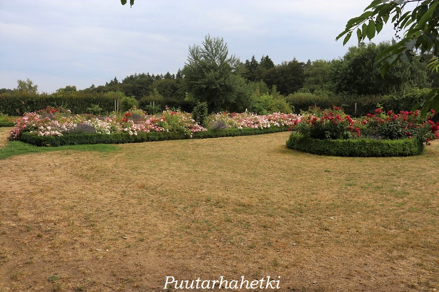 Puutarhavierailulla Botanischer Garten Mellenthin, Usedom, Saksa, osa