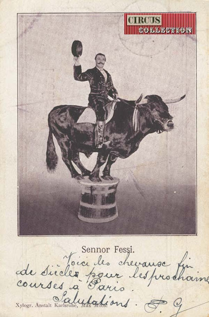 en costume de torero, le senior Fessi monte un taureau