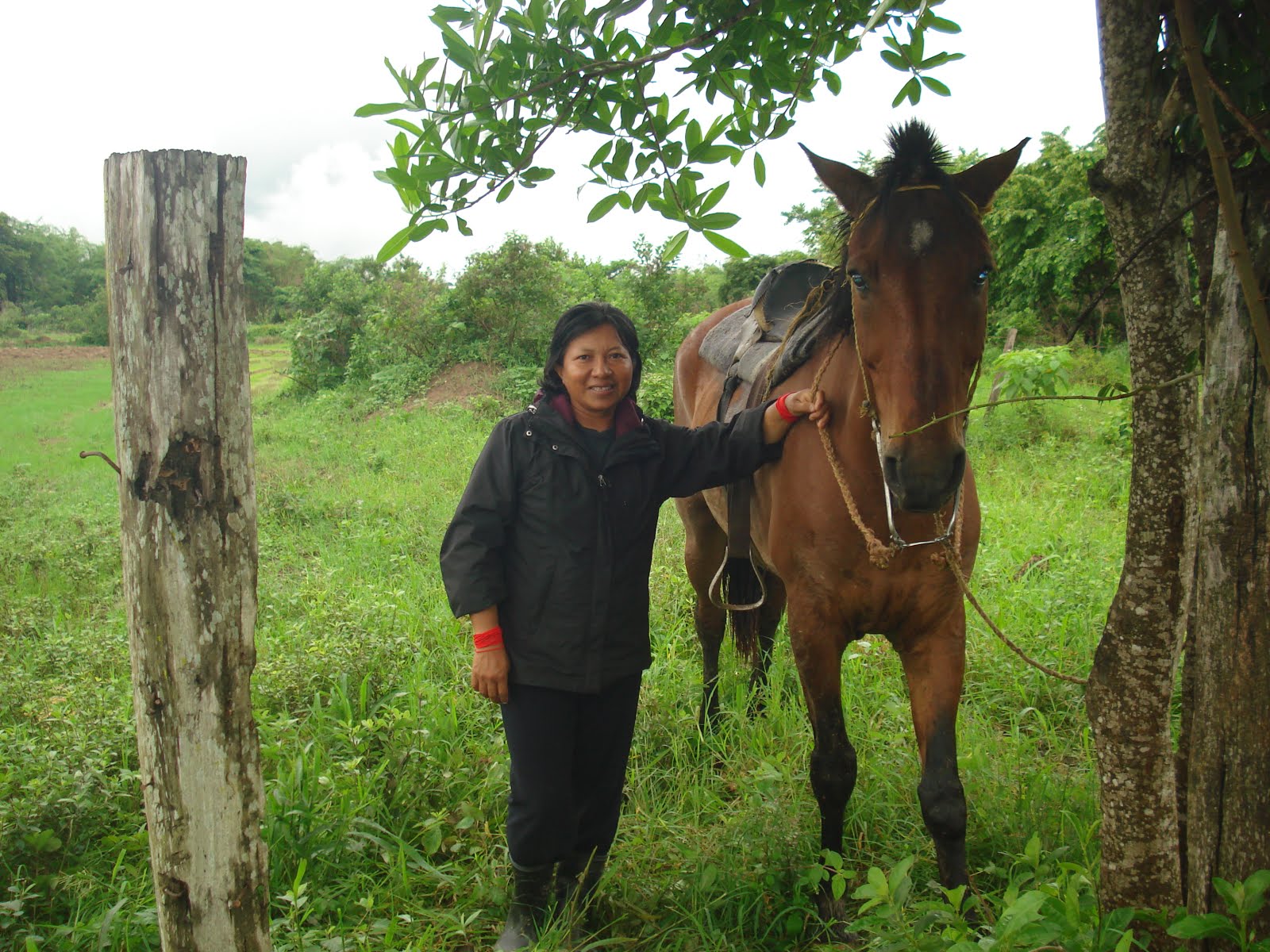 Llanos de Venzuela