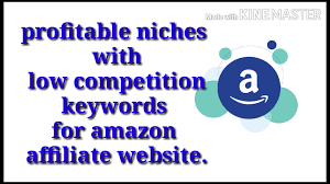 profitable niches with low competition keywords for Amazon affiliate website.