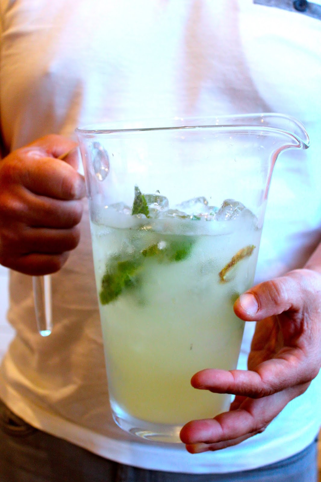 Cocktail de Gin, Hortelã e Limão