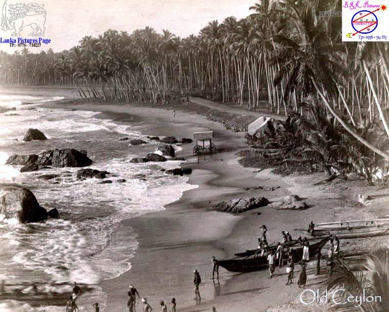 Старое название острова шри. Остров тапробан. Рельеф острова шри ланка. Sri lanka map. Старое название острова шри.