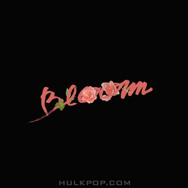 VNDK – Bloom – EP