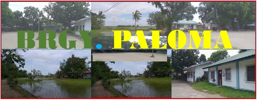 Barangay Paloma