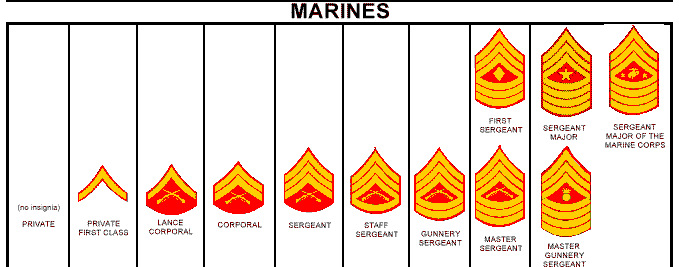 US Marine lover: Name of the officer shows copyscape Hierarchical ...