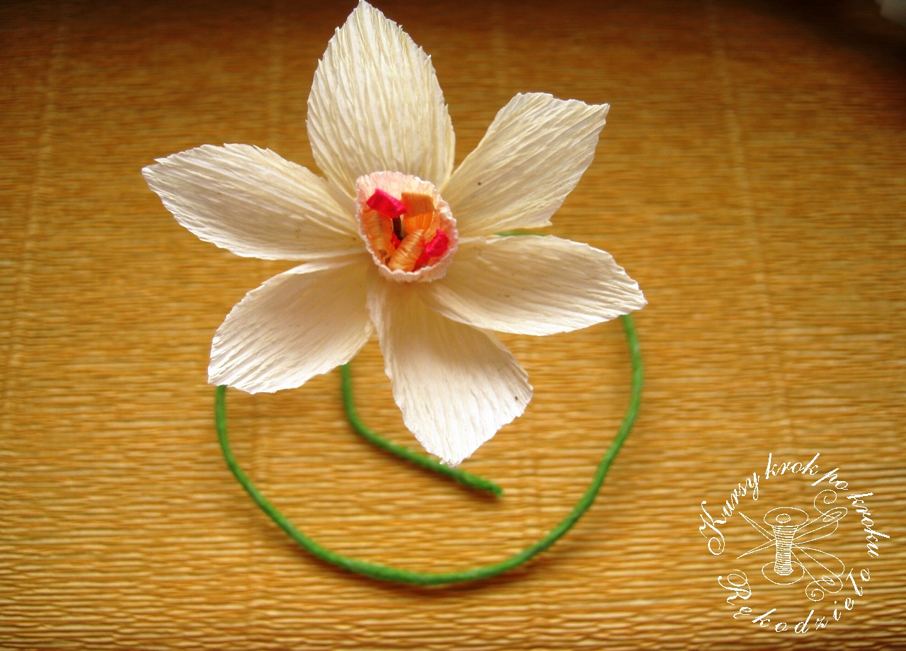 Kursy Krok Po Kroku Rekodzielo