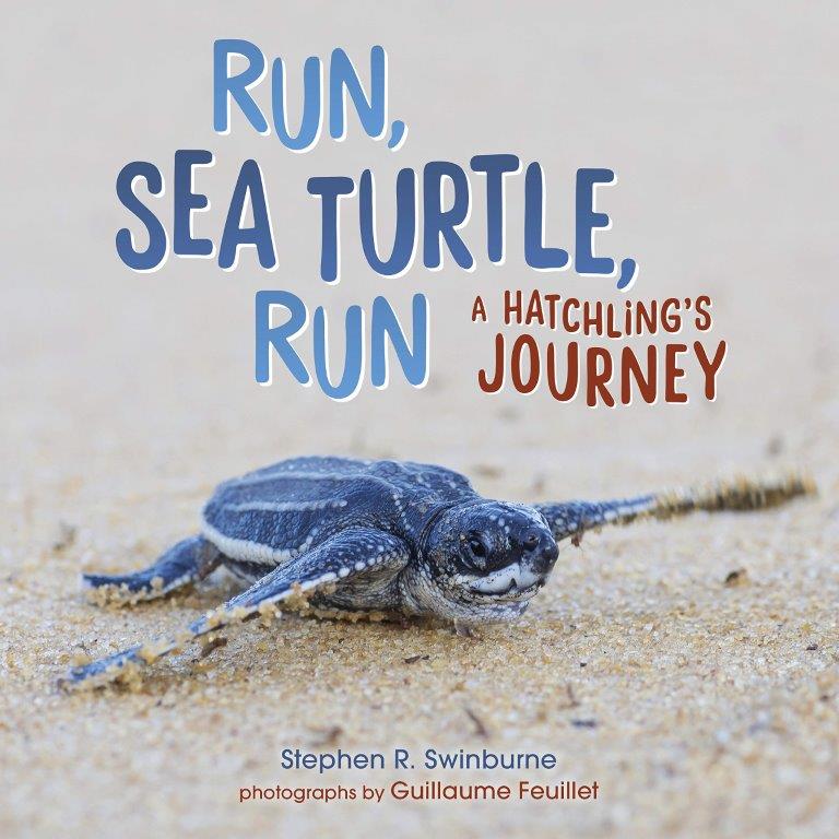 Archimedes Notebook Run, Sea Turtle, Run