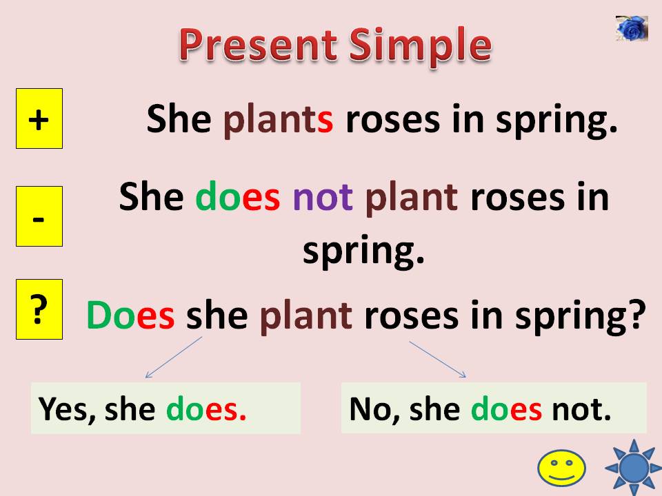 Present simple tense 5 класс