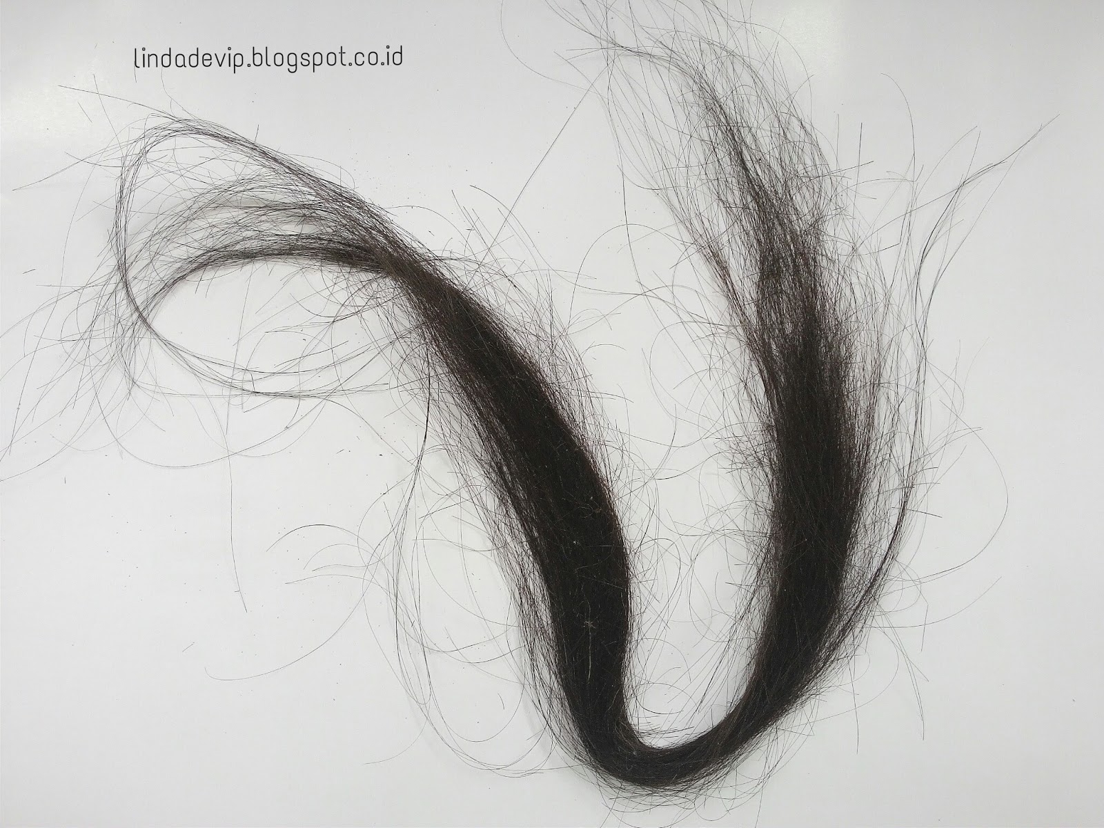 Pengalaman Rambut Rontok Parah Hi Barbie