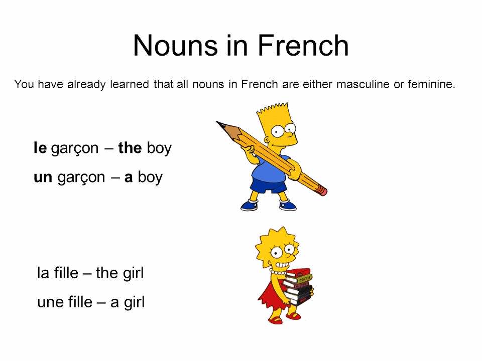 French Masculine And Feminine Nouns 