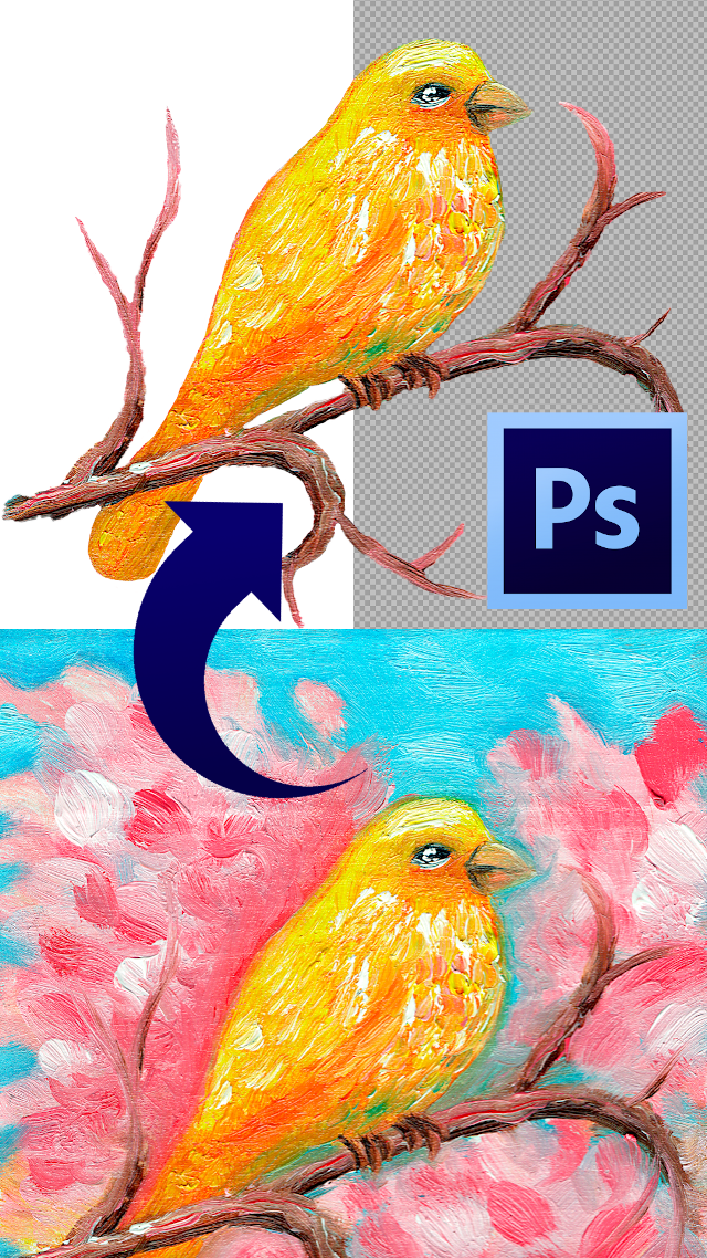 how to remove adobe creative cloud and start over how to remove adobe creative cloud and start over
