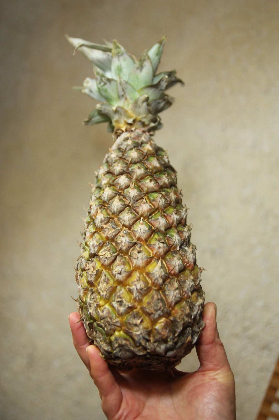 Simply Organic Recipes Homegrown homemade food, health and beauty