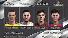 Pes 2013 Champions Facepack 2020