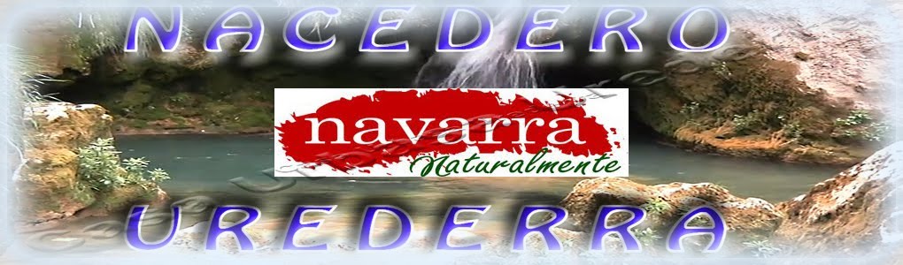 Nacedero  Urederra   Baquedano  El Paraíso del Agua     Navarra