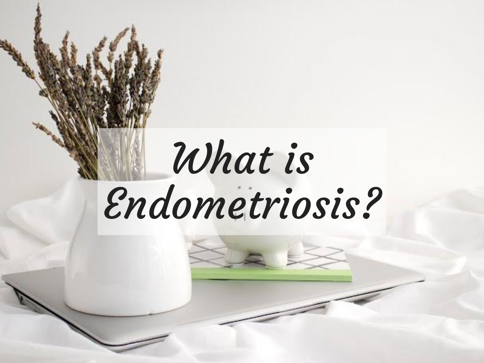 What is Endometriosis?