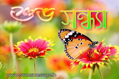 Bangla good evening image free download, Subho Sandhya pictures download, subho Sandhya photo download, subho Sandhya wishes