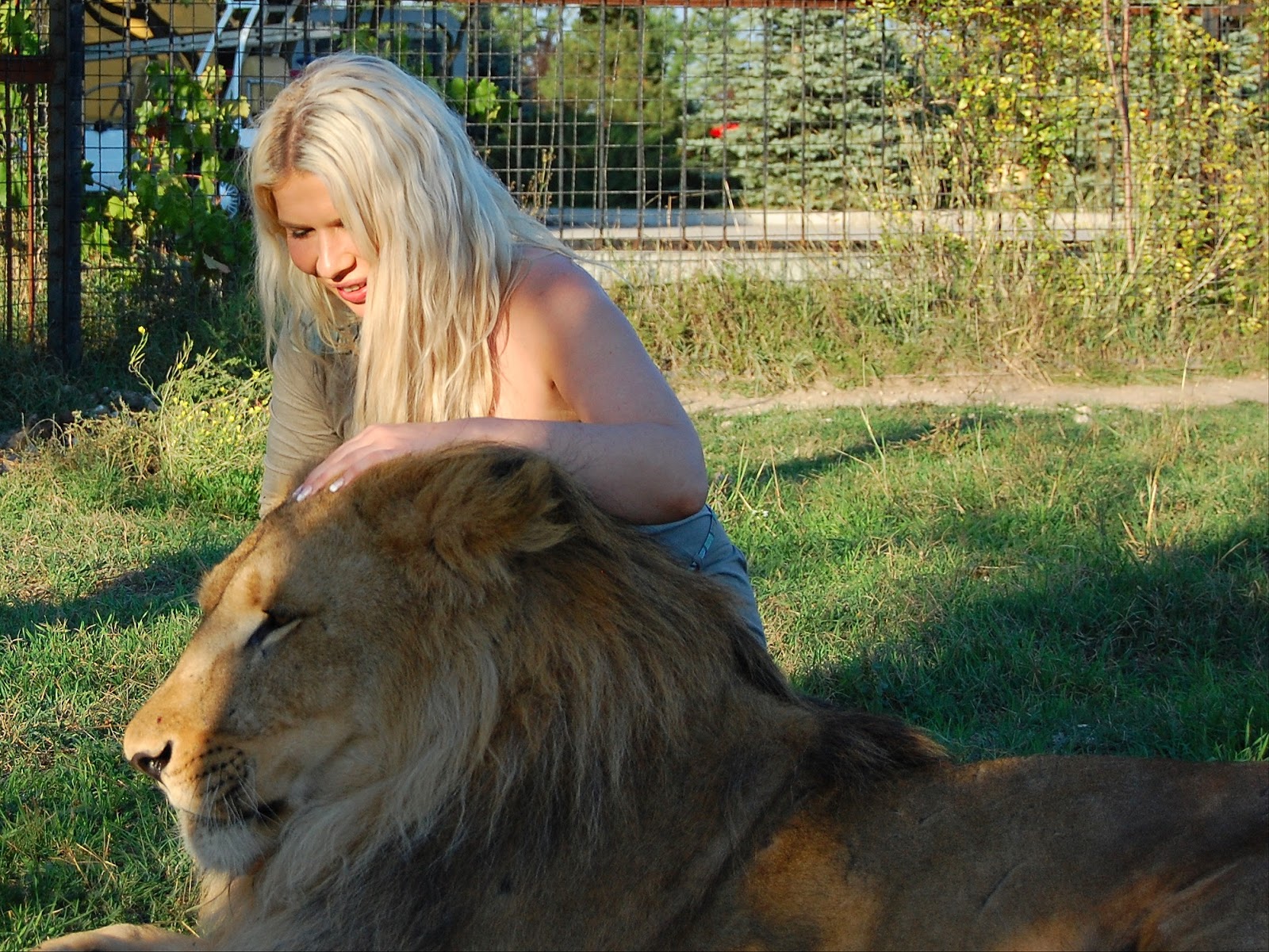 лев изменяет жене. лев мужчина измены. биография семья льва николаевича толстого. лев лещенко с женой. лев изменяет жене.