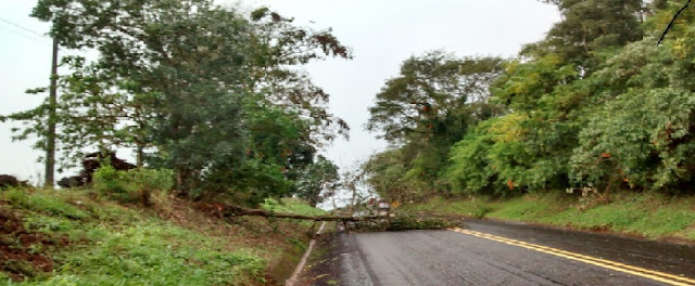 Roncador: Foto enviada por internauta, mostra estrada parcialmente interditada após chuva