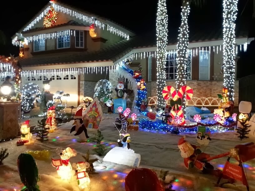 Limo christmas light tour mn